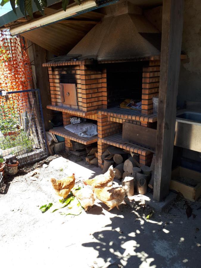 House Contu1000 Apartment Porto Luaran gambar