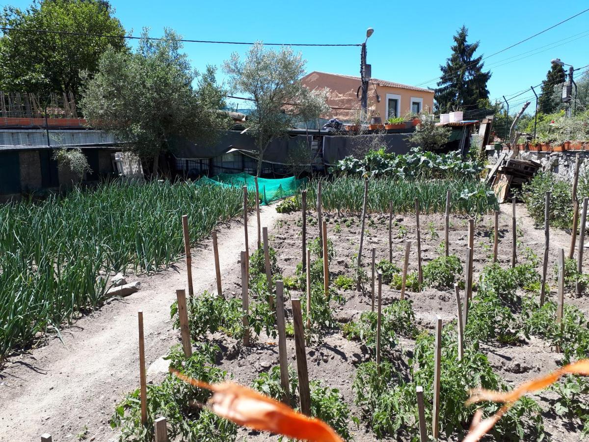 House Contu1000 Apartment Porto Luaran gambar